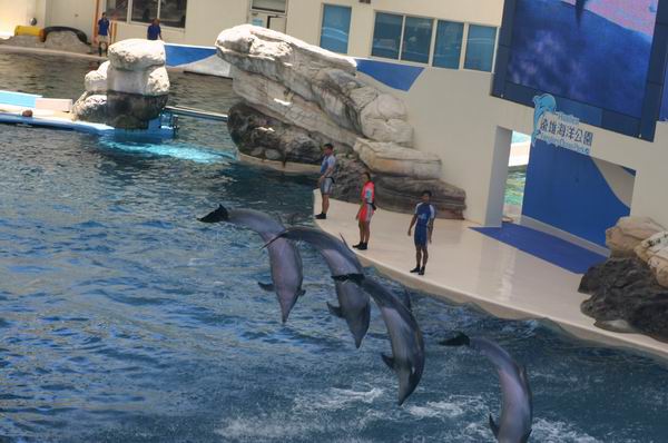 環島遊記第三天 環島遊記第三天