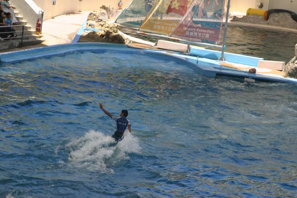 環島遊記第三天 環島遊記第三天