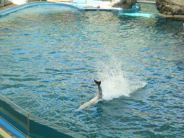 環島遊記第三天 環島遊記第三天