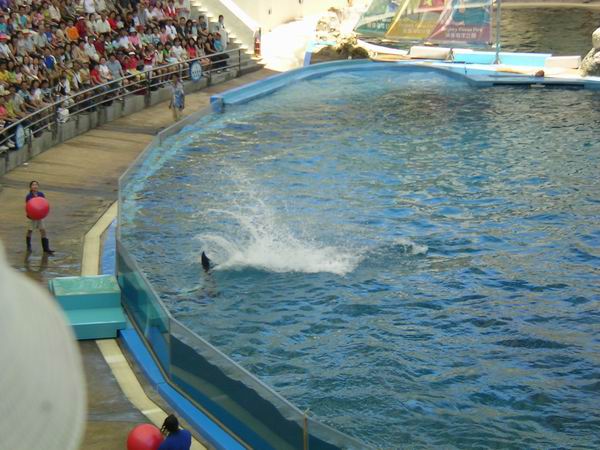 環島遊記第三天 環島遊記第三天