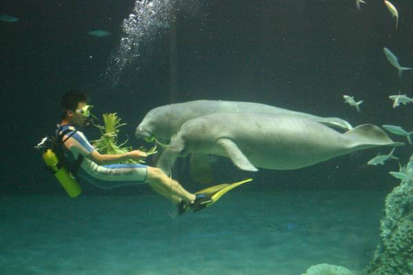 環島遊記第三天 環島遊記第三天