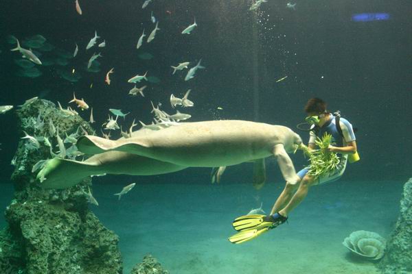 環島遊記第三天 環島遊記第三天