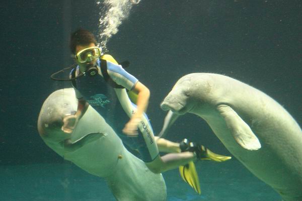 環島遊記第三天 環島遊記第三天