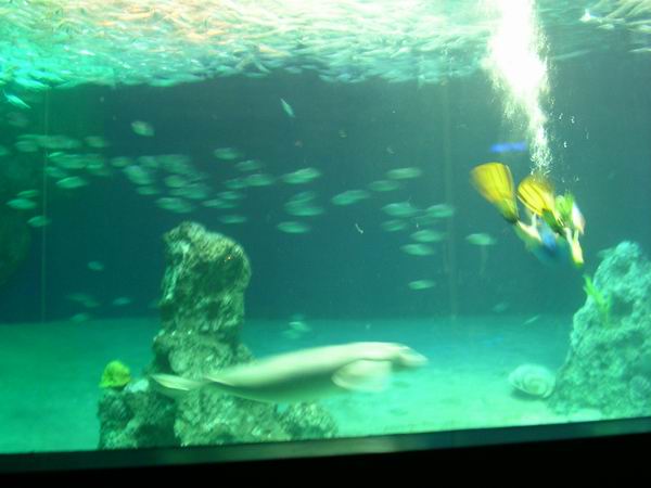 環島遊記第三天 環島遊記第三天