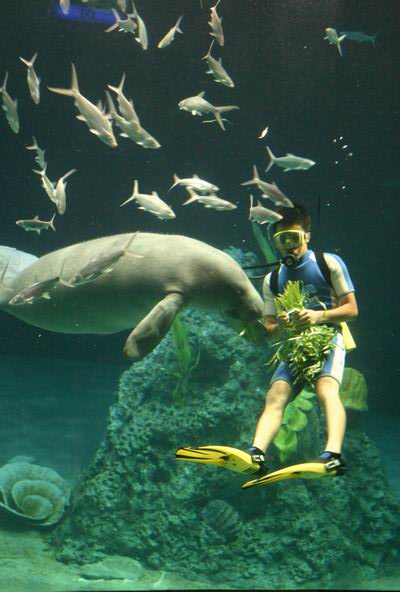 環島遊記第三天 環島遊記第三天