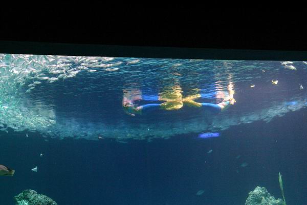 環島遊記第三天 環島遊記第三天