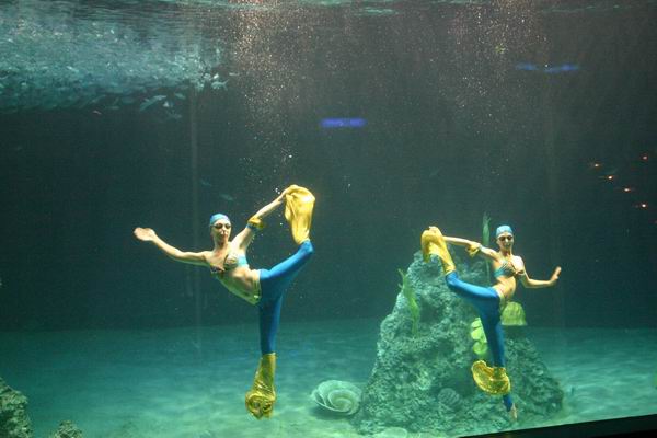 環島遊記第三天 環島遊記第三天