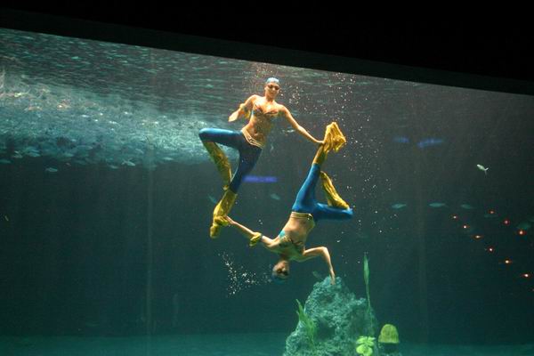 環島遊記第三天 環島遊記第三天