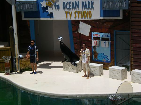 環島遊記第三天 環島遊記第三天