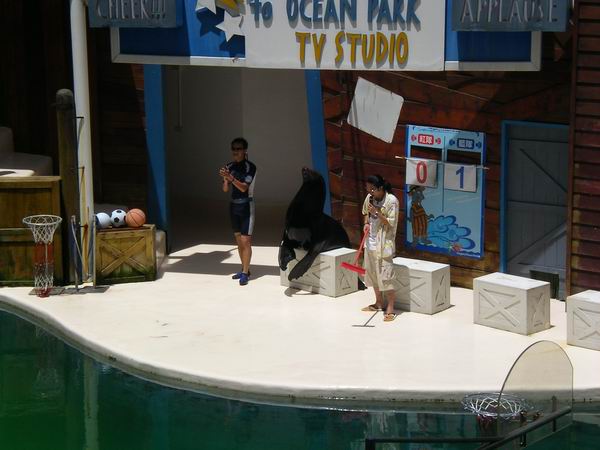 環島遊記第三天 環島遊記第三天