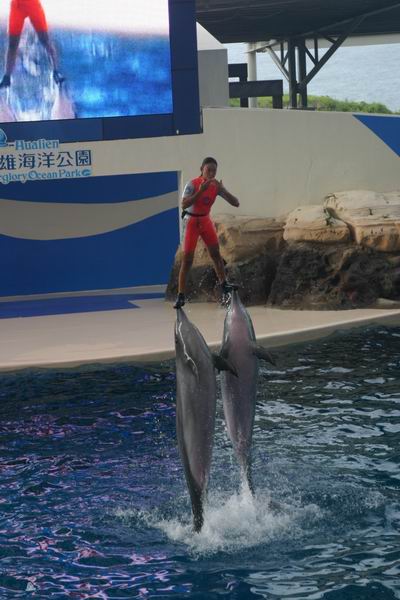 環島遊記第三天 環島遊記第三天