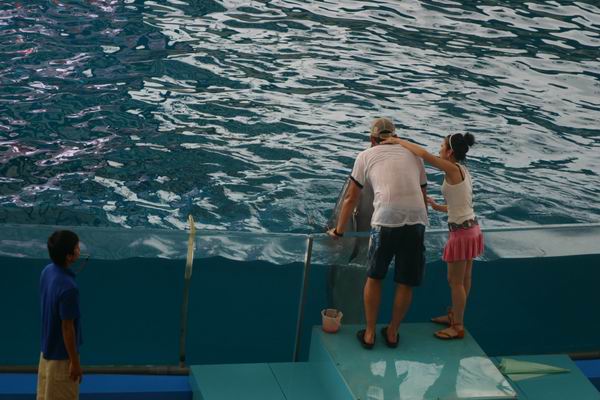 環島遊記第三天 環島遊記第三天