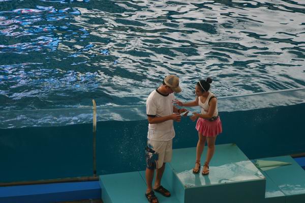 環島遊記第三天 環島遊記第三天